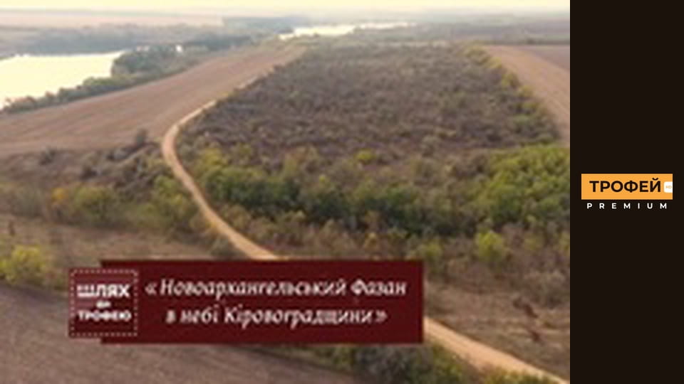 Шлях до Трофею. Серiя 39