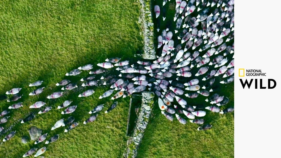 Europa z powietrza S4E4 - Belgia