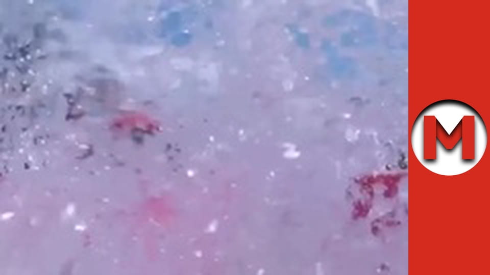 Макс ТОП - сезон 2 - серія 9