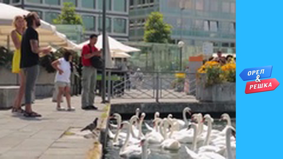 Навколо М сезон 1 - випуск 8