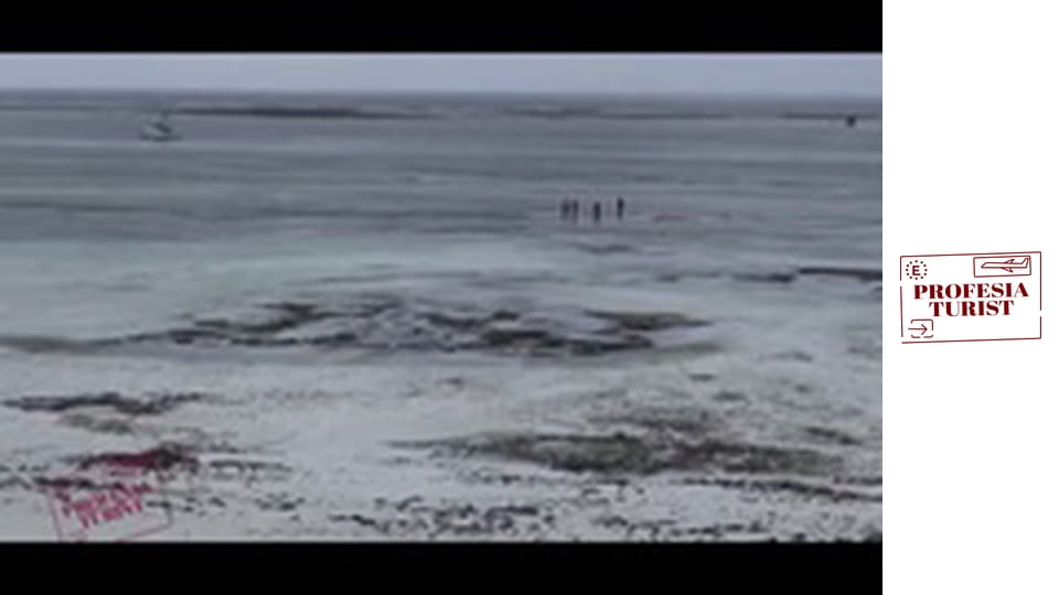 Полет над Кенийското крайбрежие