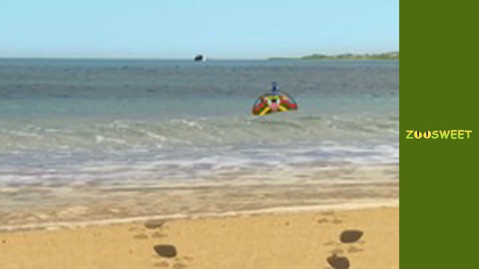 Моі друзі тварини. Підводна міссія - серія 16