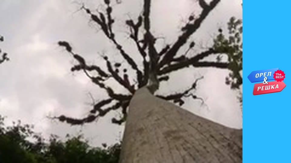 100 долларов, Выпуск 54