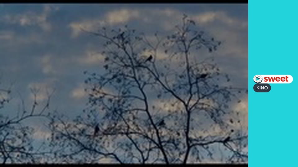 Гра пам'яті