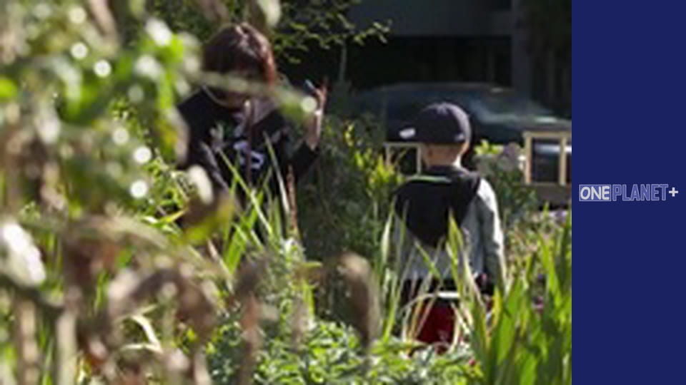 На Власні Очі. - серия 12