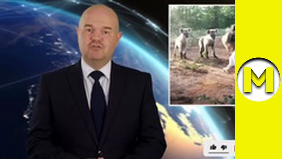 Max TV - сезон 1 - серія 151