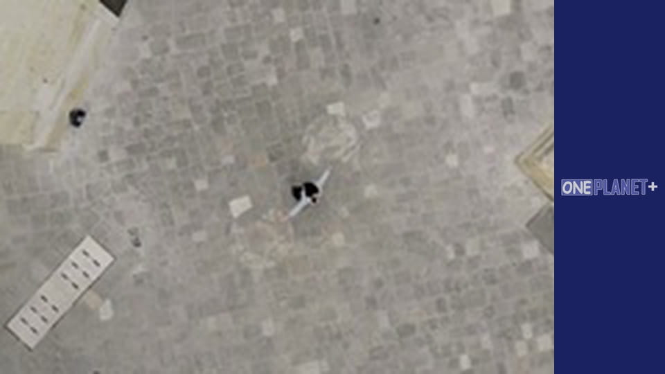 In the rhythm of the dance around the world. Season 3 - Episode 1