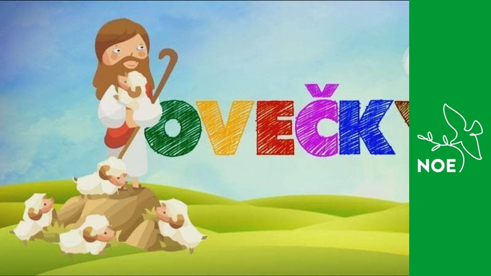 Ovečky - 1. neděle adventní