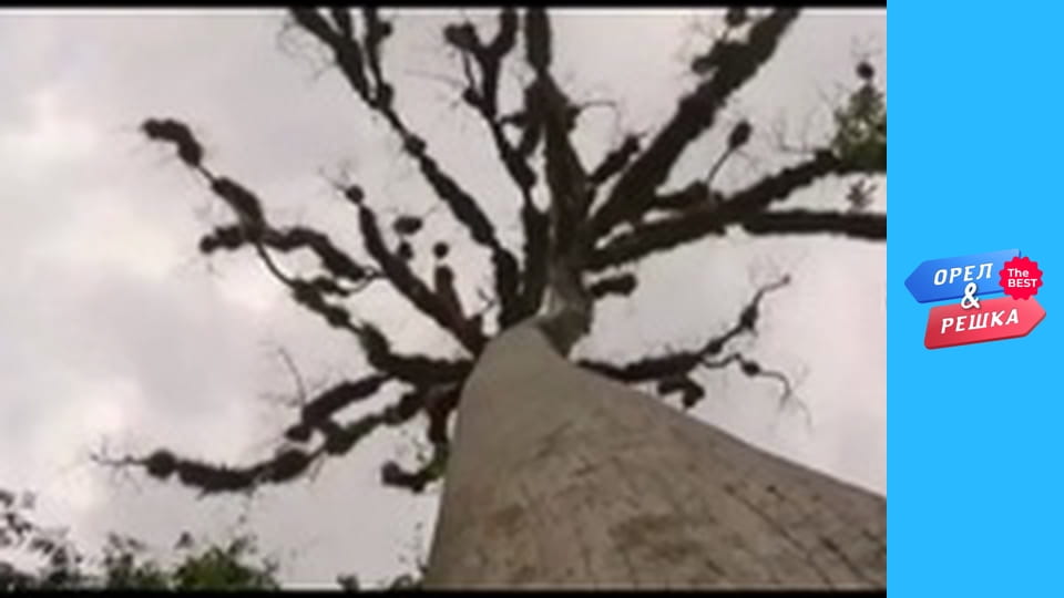 Золота карта, Випуск 142