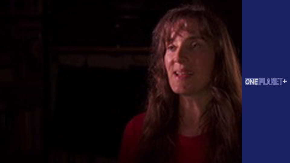 Таемниці Мозку - cерия 6