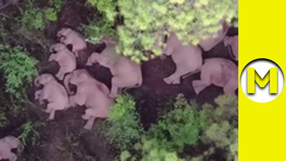 TOP (Max TV) - сезон 3 - серія 49