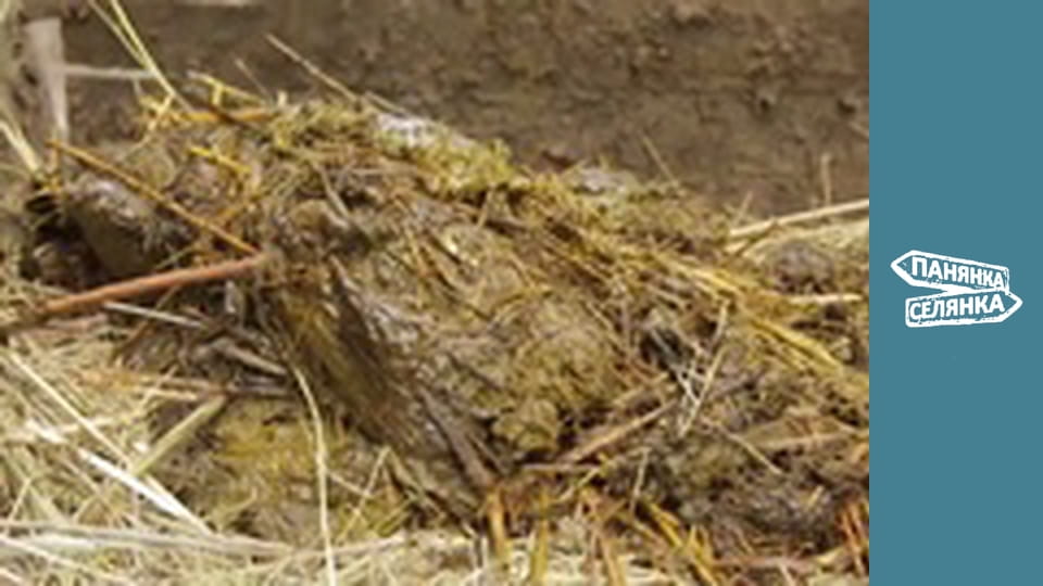 Панянка-селянка, Сезон 6, Випуск 16