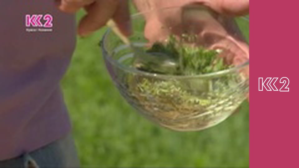 Судові справи E61 - Крижана смерть