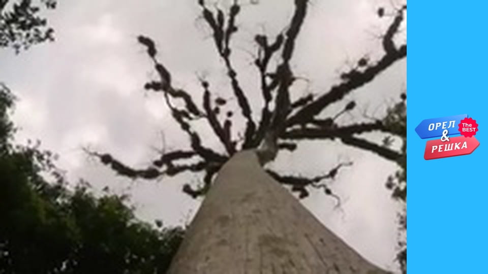 100 доларів, Випуск 55