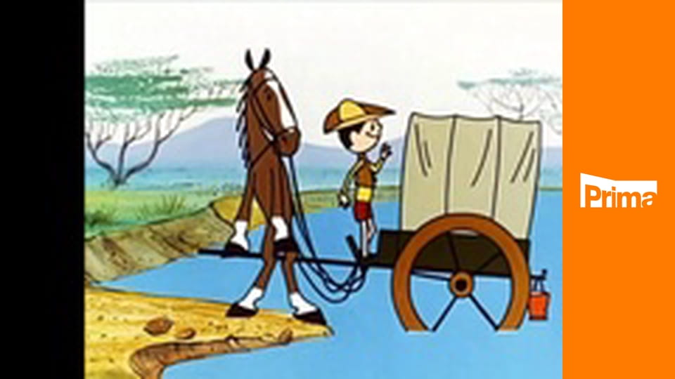 Rolničky, kam se podíváš 2