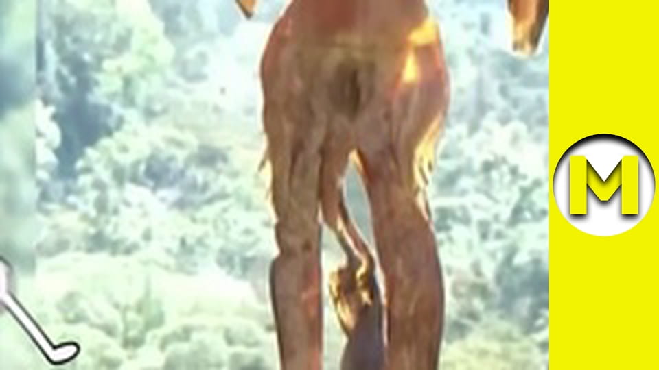 Max TV - сезон 2 - серія 46