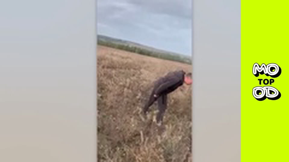 Top Mood, Сезон 2, Випуск 94