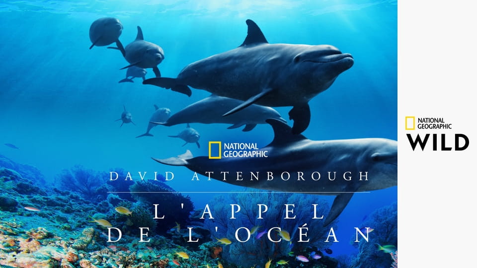 Океан с Дэвидом Аттенборо