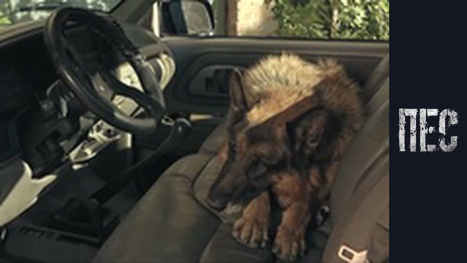 Пес, Сезон 5, Серія 11