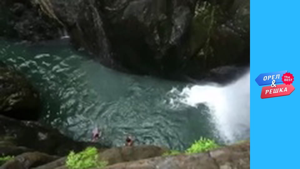 Золотая карта, Выпуск 41