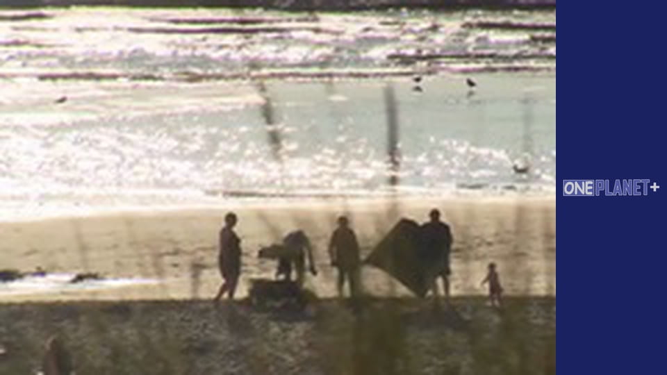 Мистецтво Простору. - серия 34