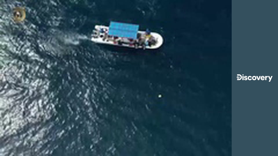 Неизвестная экспедиция S8E14