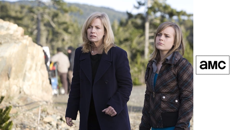 Незнакомка с моим лицом