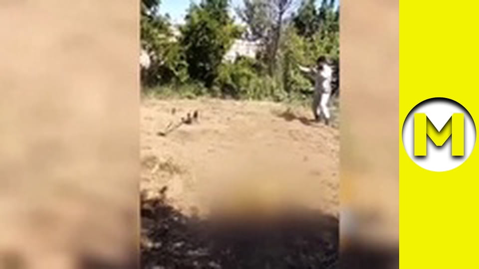 Max TV - сезон 1 - серія 144