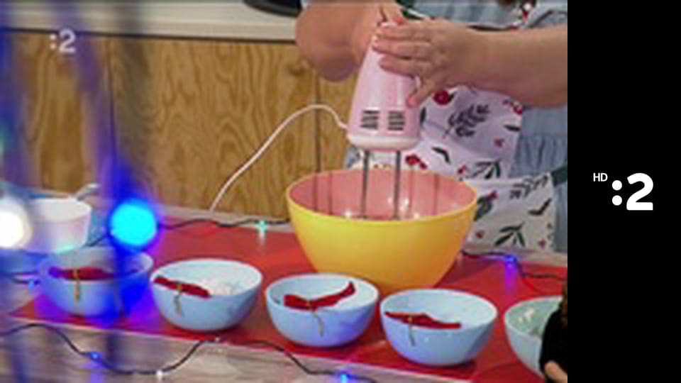 Byť tak zvieratkom E29 - Žralok citrónový