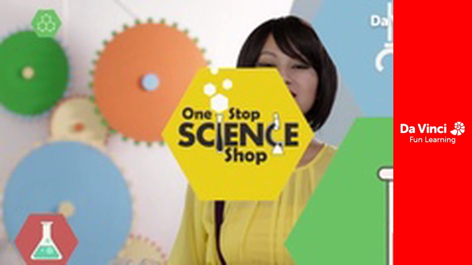 Мастерская знаний - Как растения получают питание и воду?