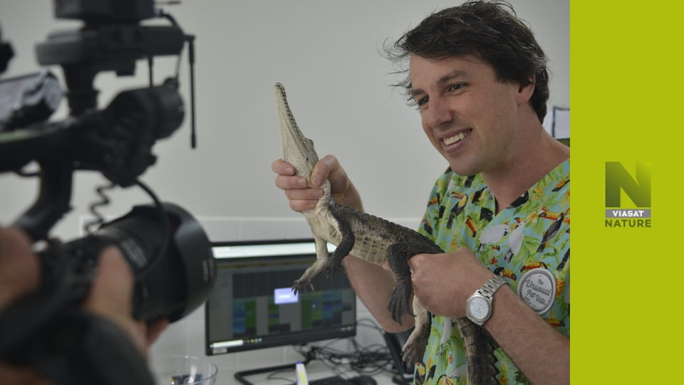 Ветеринар чудернацьких тварин S1E1