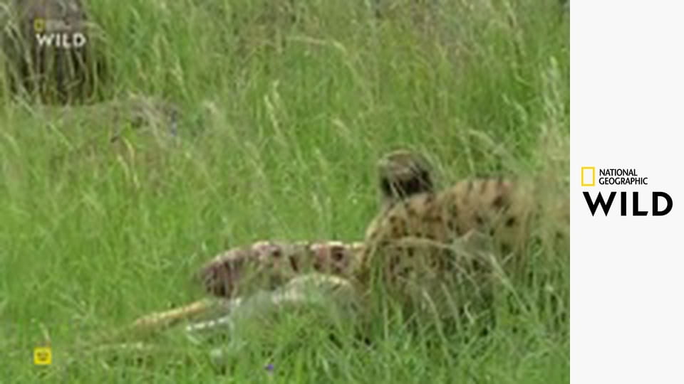 Дикие охотники S1E3 - Змеи