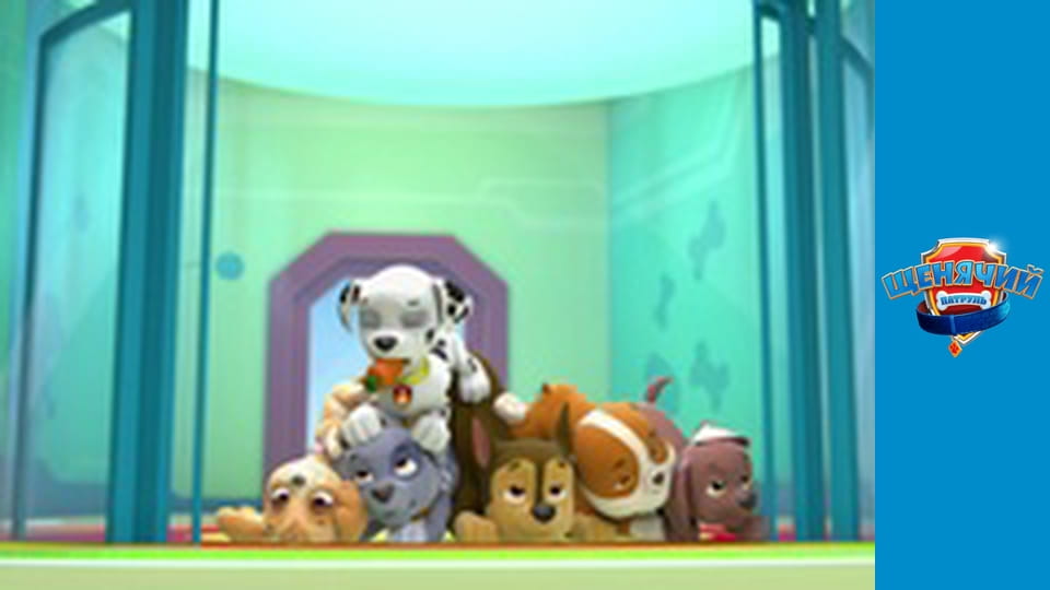 Щенячий патруль. Сезон 1 – серія 9