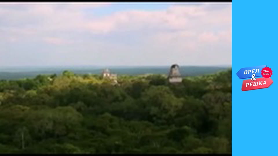 Золотая карта, Выпуск 33