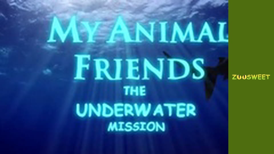 Моі друзі тварини. Підводна міссія - серія 23