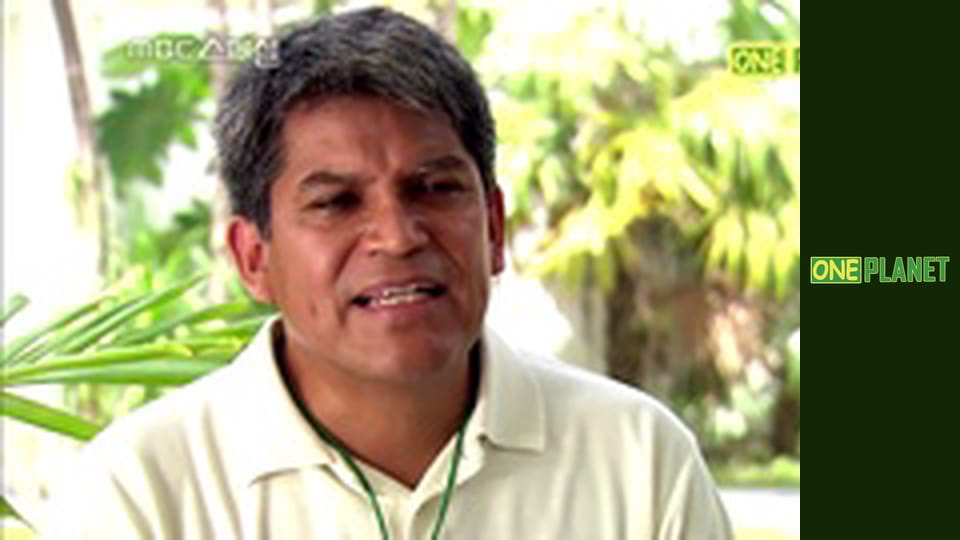 Дорога специй, 2 эп. Прелесть острого перца.