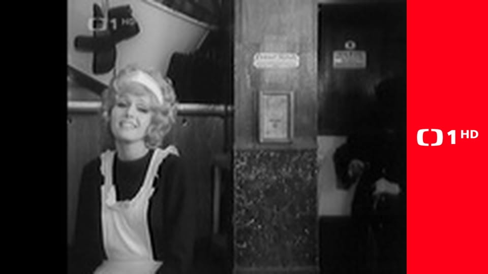 Televizní písničky a songy - Zdeňka Borovce