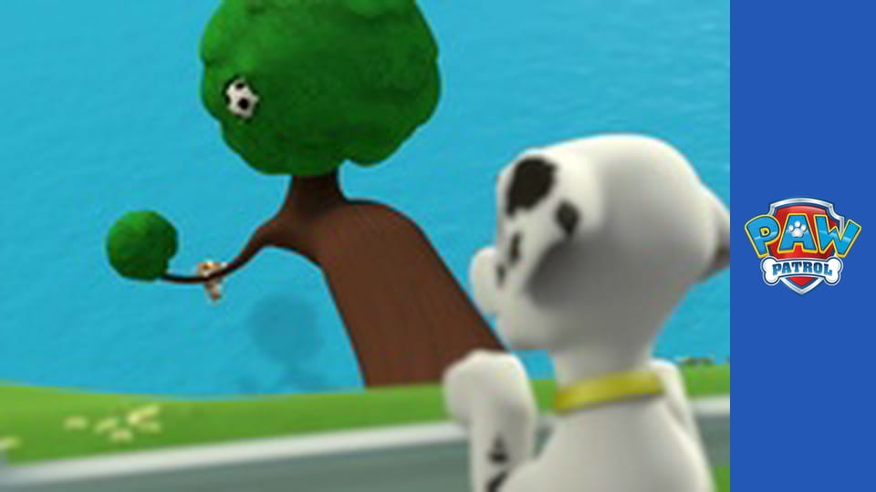 Щенячий патруль Сезон 1 Епізод 12