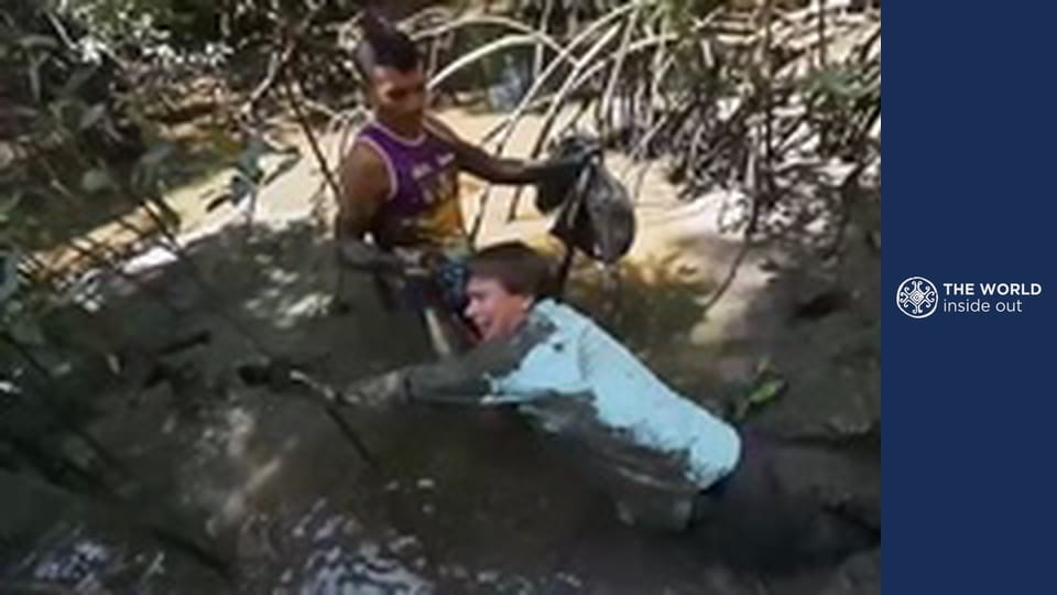 Utazás Marajó szigetére és a mangrove rákvadászat. Brazília.