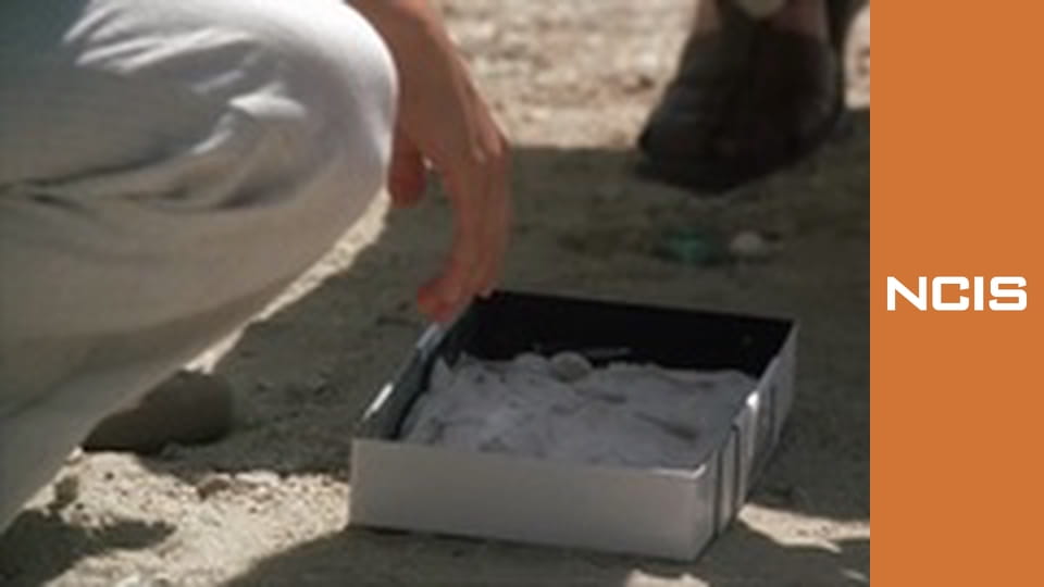 NCIS: Полювання на вбивцю Сезон 5 Епізод 19