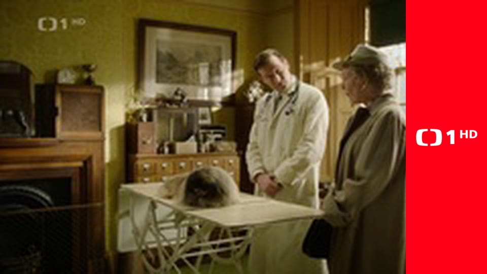 Všetky veľké a malé bytosti V