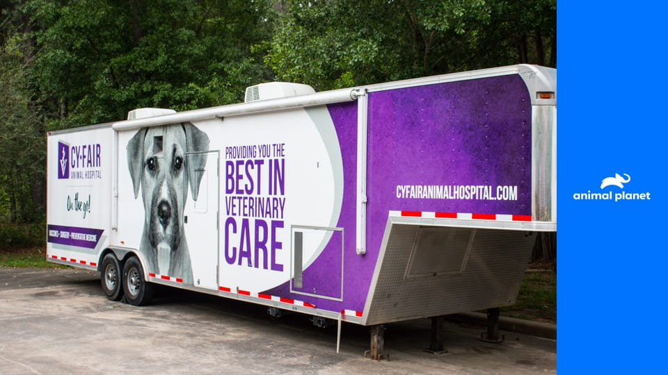 Будни ветеринара S2E14 - Свинье на помощь