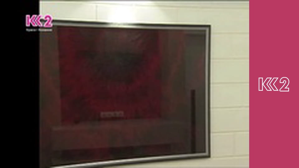 Спеція E15 - Смажені яйця