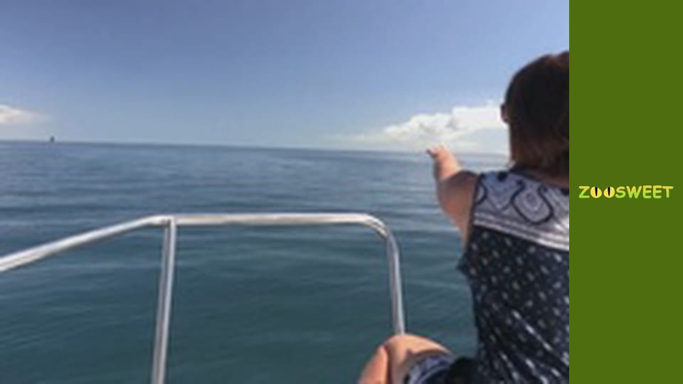 Боротьба за виживання, Сезон 1, Випуск 15