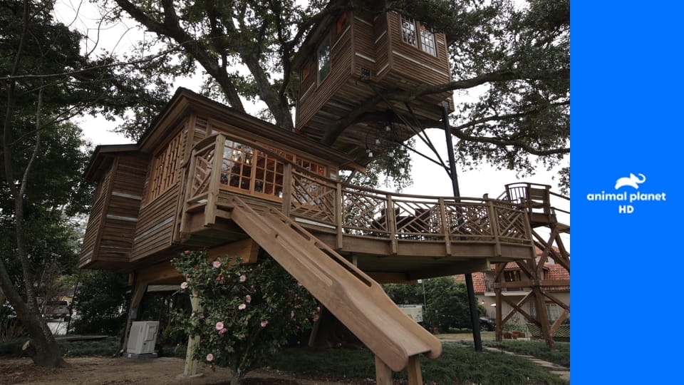 Дома на деревьях S3E4 - Удивительный улей