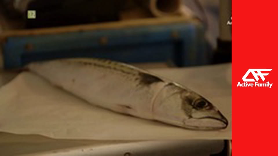 Sekrety historii naszej ewolucji