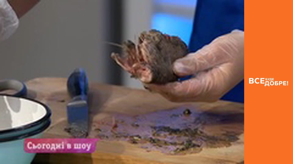 Сезон 4, Выпуск 40, часть 1