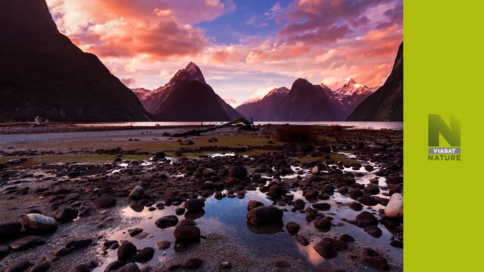 Нова Зеландія: міфічні острови Землі S1E3 - Нова поява