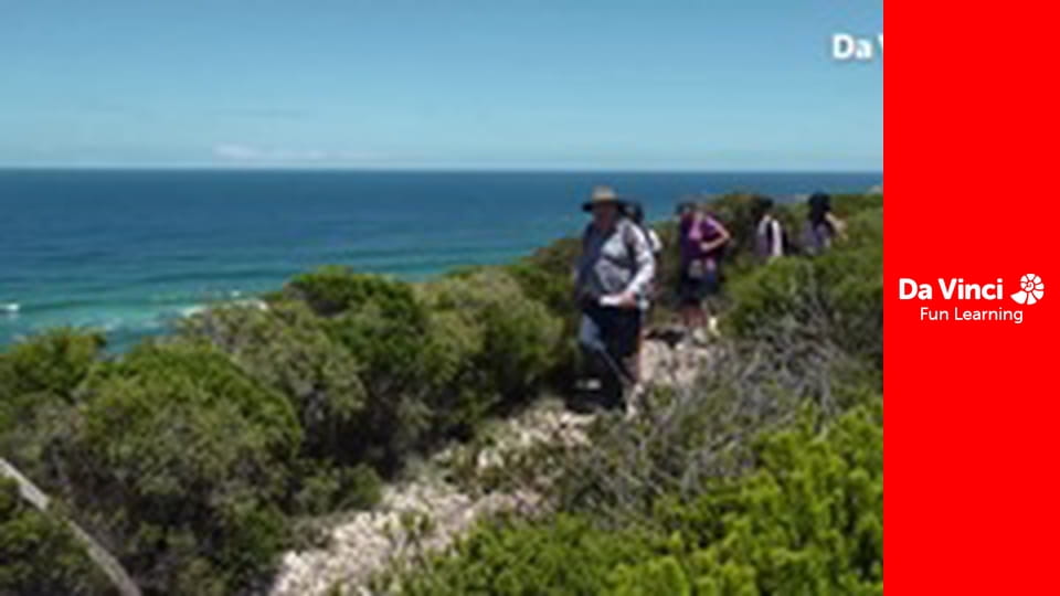 Сіяя - Найдикіший мис - Робберґ - знання про виживання