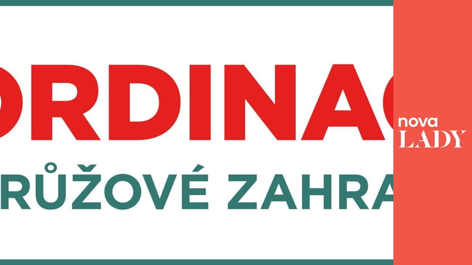 Ordinace v růžové zahradě 2 S18E20 - Hledám muže při těle
